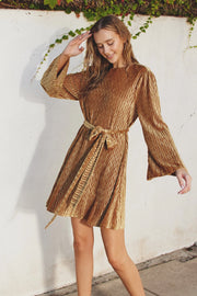 Golden Ochre Dress